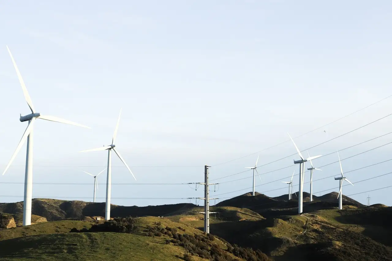 Transmission lines run through Makara windfarm, Wellington..