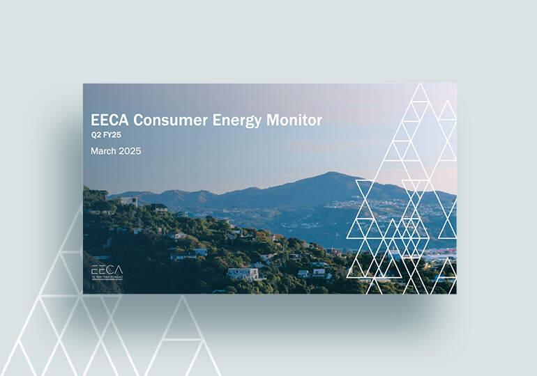 How New Zealanders Are Using Energy December 2024 Eeca